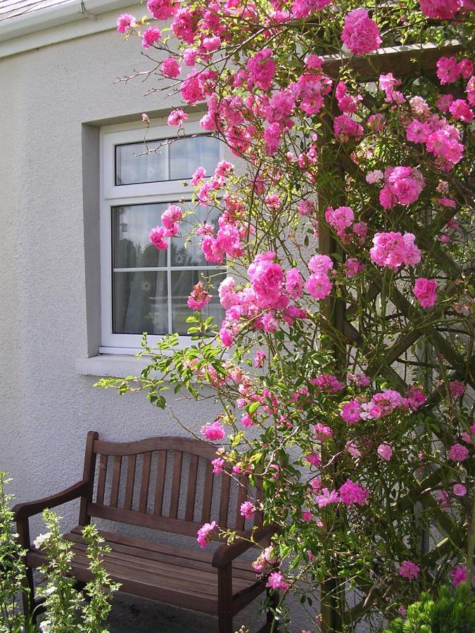 Glascoed Farmhouse Carmarthen Exterior photo